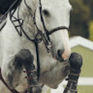 Meet your Posher, Mattea